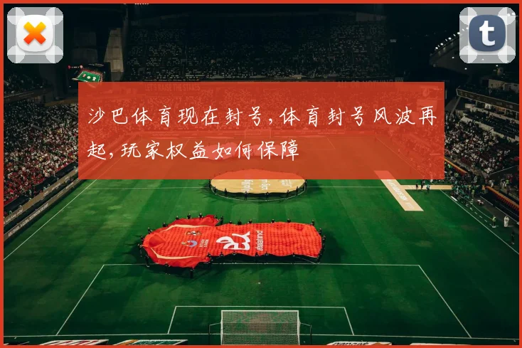 沙巴体育现在封号,体育封号风波再起,玩家权益如何保障